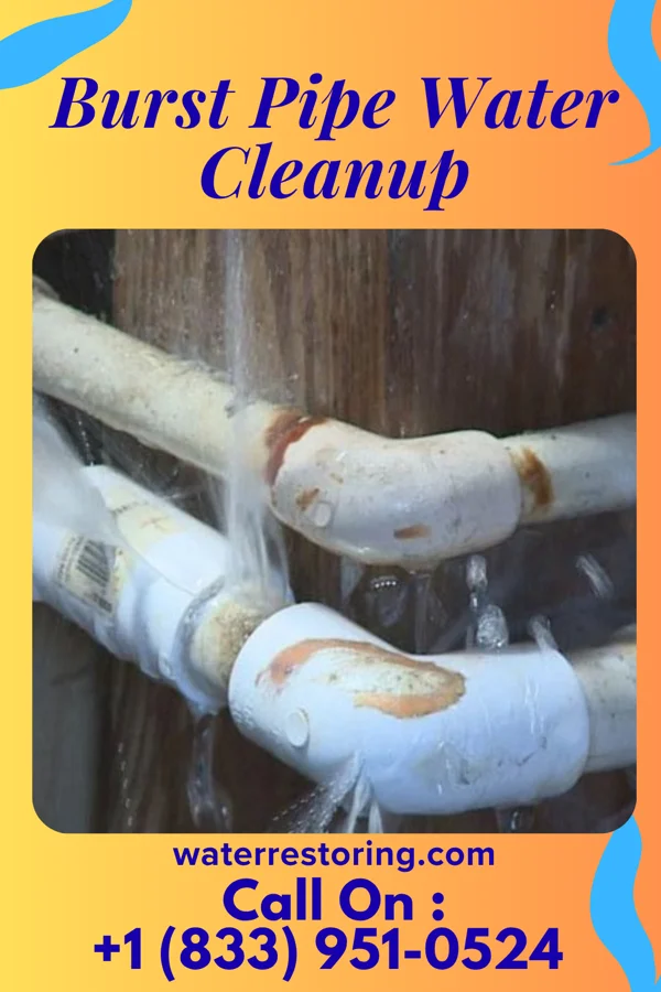 Burst Pipe Water Cleanup in North Ballston Spa, NY