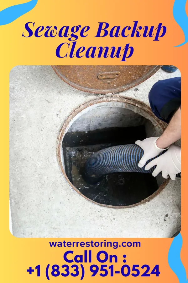 Sewage Backup Cleanup in North Ballston Spa, NY