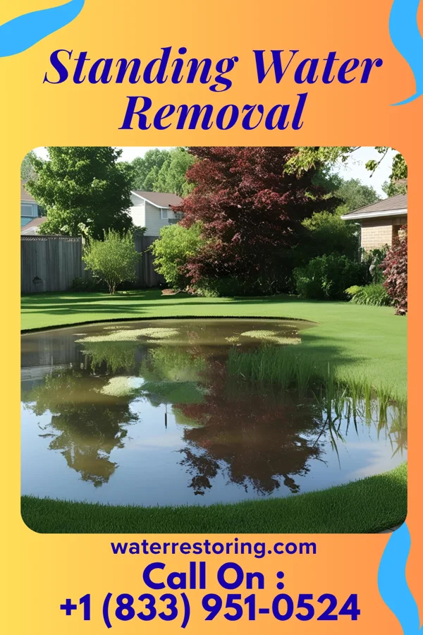 Standing Water Removal in North Ballston Spa, NY